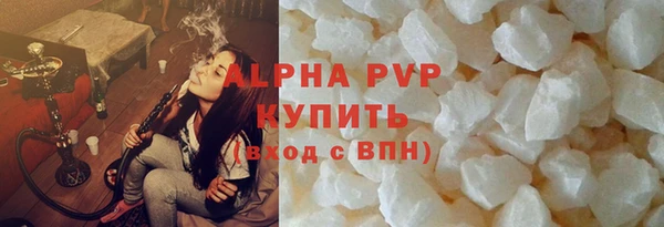 крисы Кулебаки