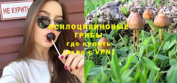 прущая мука Кукмор