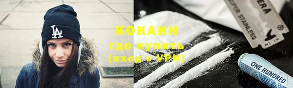 крисы Кулебаки