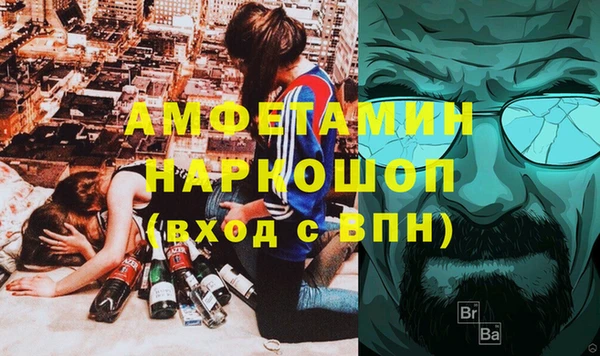 крисы Кулебаки