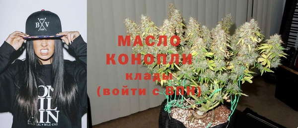 крисы Кулебаки