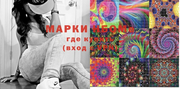 крисы Кулебаки