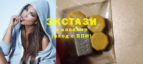 крисы Кулебаки
