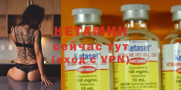 крисы Кулебаки